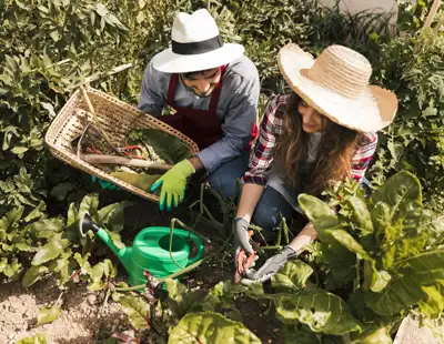 Servicio de extensión rural integral y asistencia técnica especializada para mejorar la productividad del sector agropecuario.