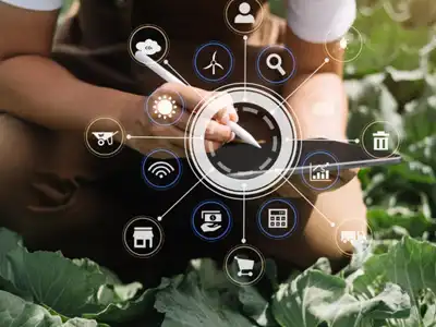 Ingeniería de Mercados: Consultoría en análisis de datos y estrategias de crecimiento comercial para empresas.