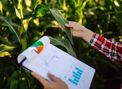 Asesoría en planificación de créditos y gestión financiera para productores rurales de los municipios asociados a ASMETA.