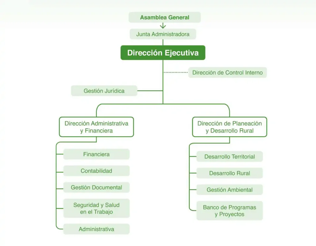 Gráfico del organigrama institucional de ASMETA, mostrando la estructura organizativa y administrativa de la entidad.